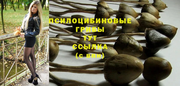 соль курить ск Горнозаводск