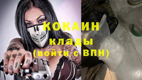 ПСИЛОЦИБИНОВЫЕ ГРИБЫ Вяземский