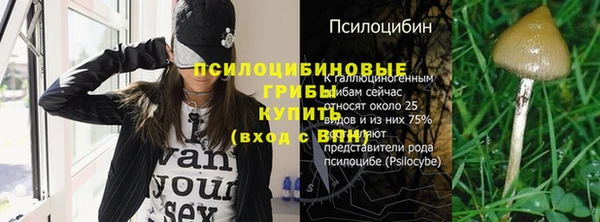 СК Горно-Алтайск