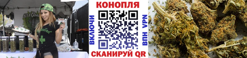 Купить где  Микунь  Каннабис SATIVA & INDICA 